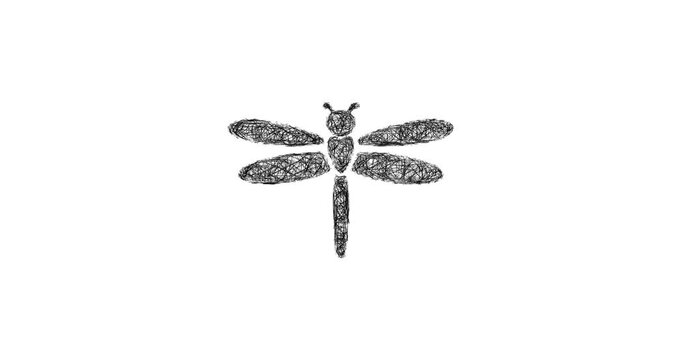 Sketch dragonfly icon animation - smooth progressive reveal