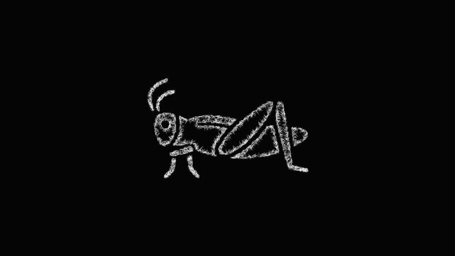 Sketch grasshopper icon animation - smooth progressive reveal