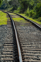 Fototapeta premium railroad tracks in the forest