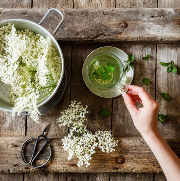 Hand of woman picking up cup of elderflower tea with mint