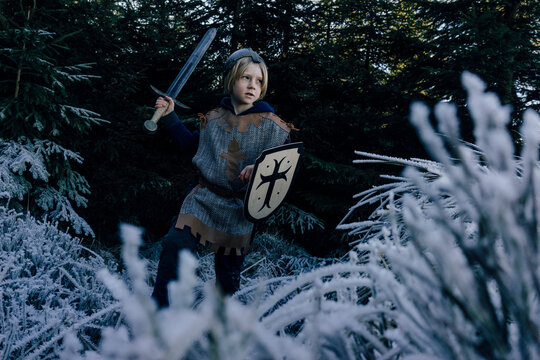 Little boy wearing knight costume playing in nature