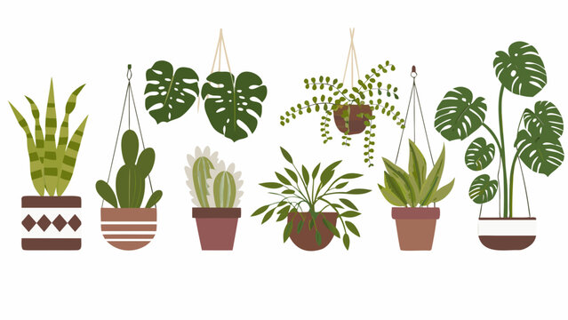 A collection of potted and hanging indoor plants in a flat style