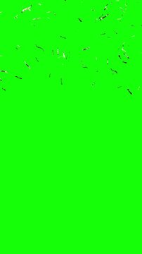 Golden Metallic Confetti Pieces Falling Down Isolated on Green Background - 3d 4k Vertical Animation (2160 x 3840px)
