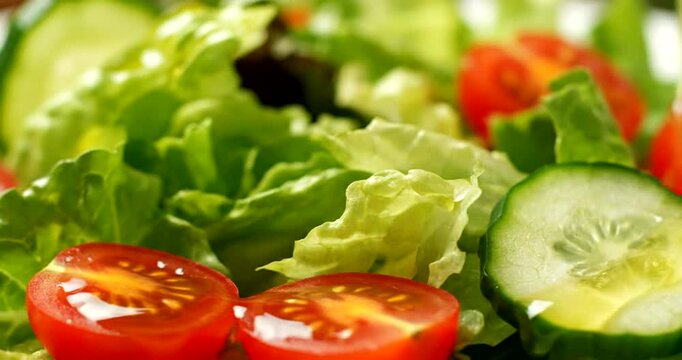 Fresh Green Salad with Tomatoes and Cucumber.