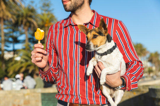 Young man with dog on his arm eating ice lolly, partial view