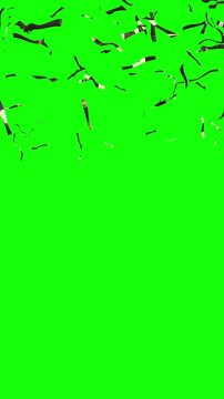 Sparkling Gold Elements Moving Across Green Screen - 3d 4k Vertical Animation (2160 x 3840px)