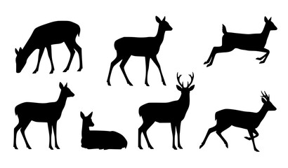 Top-down black deer silhouettes vector set with male, female, and roe deer © Sabbir