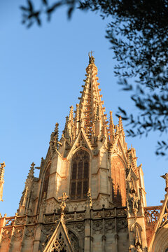 the main tower of Barcelona Cathedral at sunset,golden light, Barcelona, Spain