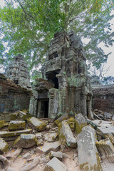 Fototapeta premium ta prohm temple cambodia