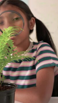 Vertical video: Using magnifier, student in striped shirt leaning at school, studying fern closely
