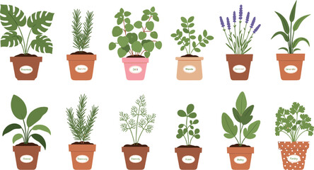 Indoor potted houseplants collection flat vector illustration with tropical foliage herbs and decorative green plants in pots © MstNazma