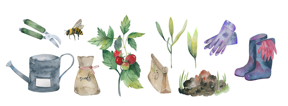 Flower garden planting with tomato plant and garden tools watercolor clipart