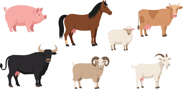 Farm animals collection with pig horse cow sheep goat and bull domestic livestock flat vector illustration set