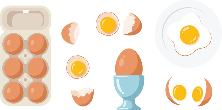 Chicken eggs collection whole cracked boiled and fried egg food vector illustration set