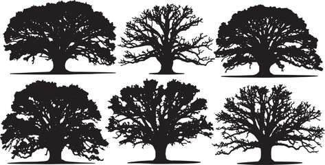Obraz premium Black Solid Ancient Spreading Oak Tree Silhouettes Set of Six
