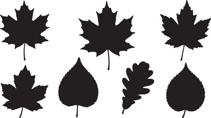 Black Solid Autumn Foliage Silhouettes Set of Six on White Background © AADIL