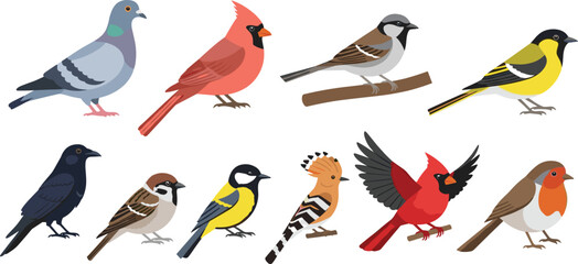 Common garden birds collection including pigeon cardinal sparrow robin and crow flat vector illustration set