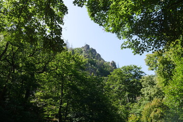 Wald und Baumkronen und Fels und Himmel im Bodetal bei Thale im Harz
