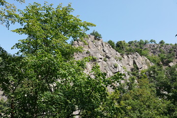 Obraz premium Wald und Fels im Bodetal im Harz bei Thale