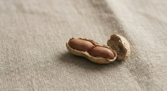 Close up of split open peanut shell revealing two brown seeds inside resting on textured linen cloth