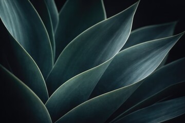 Fototapeta premium Abstract Dark Green Tropical Plant Leaves Background with Elegant Minimal Design