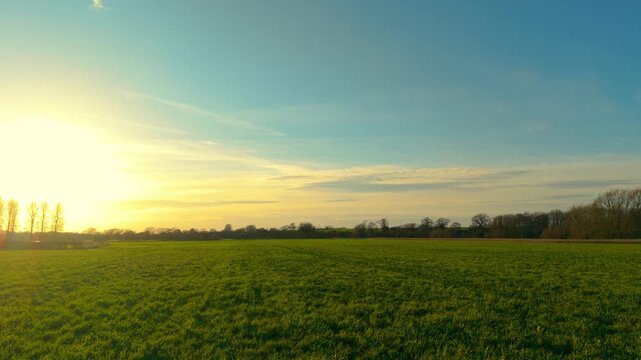 Sunset over wide green pasture meadow in rural agricultural landscape. Fodder grass covering farmland field used for livestock feeding and hay harvest. Agribusiness countryside scenery with lush