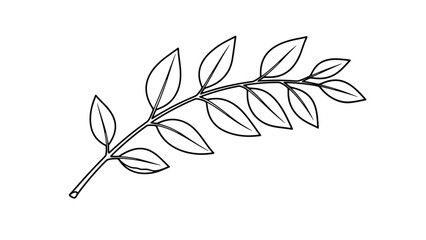 Fototapeta premium Simple black outline drawing of a leafy branch with multiple oval leaves on a plain white background for botanical design elements.