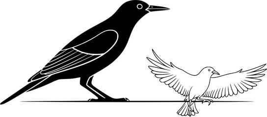 Fototapeta premium skylark silhouette line art vector illustration with a white background