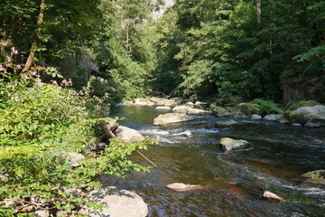 Fluss Bode mit Steinen und Fels im Bodetal bei Thale im Harz