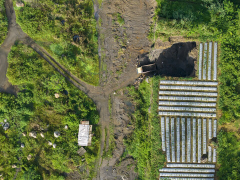 Aerial view of a dirt road splitting between lush green vegetation and agricultural fields, Kali woro, Klaten Regency, Jawa Tengah, Indonesia.