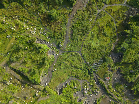 Aerial view of lush green fields and pathways intertwine, creating a vibrant tapestry of nature's beauty, Klaten Regency, Jawa Tengah, Indonesia.