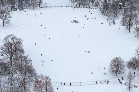 Aerial view of a snow-blanketed Sheep Meadow in Central Park, dotted with tiny figures enjoying the winter landscape, Manhattan, New York, United States.