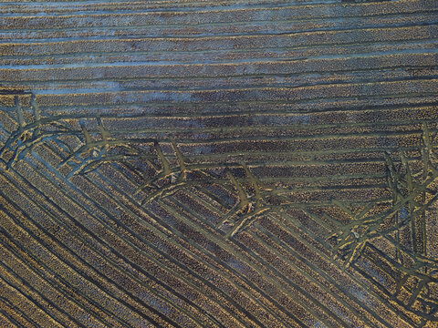 Aerial view of the patterned fields, a mosaic of earth tones intersected by linear features, creating a textured landscape, Alcacer do Sal, Setubal, Portugal.