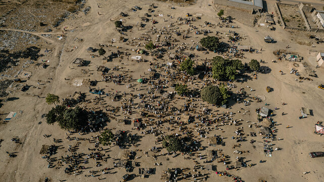 Aerial view of bustling market activities with scattered trees casting shadows on the sandy ground near Kofar Fada, Daura, Katsina, Nigeria.