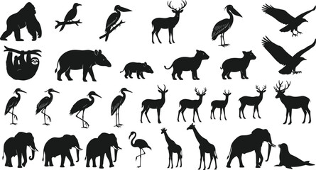 Fototapeta premium Wild animal silhouettes including gorilla, sloth, tapir, deer, birds, elephants, giraffes, seal, biodiversity, jungle, savannah, aquatic habitats illustration