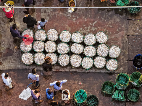 Chittagong, Bangladesh - 26 November 2025: Aerial view of Fishery Ghat reveals a textured tableau of bustling commerce, with baskets of silver fish contrasting against the concrete ground.