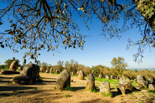Cromlech Dos Almendres site, ancient neolithic -Alto Das Pedras Talhas-, Nossa Senhora de Guadalupe, Valverde, Evora, Alentejo, Portugal