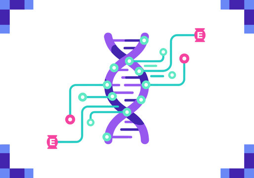 vibrant graphic showcases DNA intertwined with a digital clock highlighting methylation data Modern clean design with a focus on biotechnology and data analysis