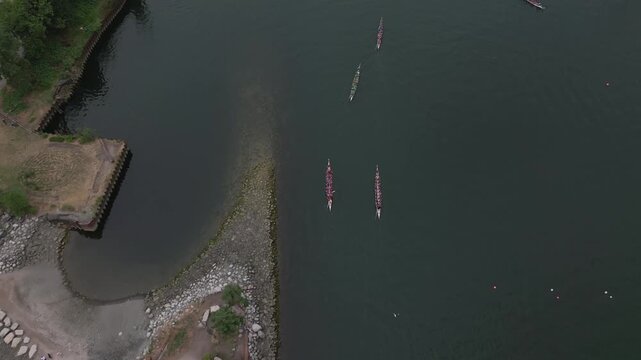 Dragon boat teams in the water