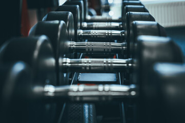 Naklejka premium Different dumbbells in the gym
