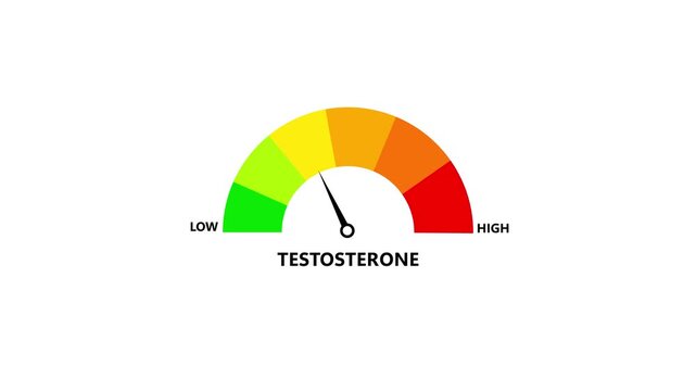 Illustration of a semicircle gauge meter labeled testosterone with needle near low, showing gradient from green low to red high on white background.