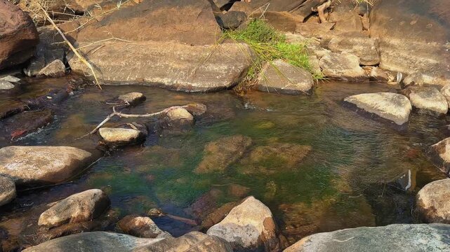 Shallow freshwater pool formed between smooth rocks, clear water revealing green algae beneath the surface, gentle ripples and natural light shaping calm textures.