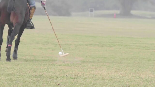 Close-up action shot of a polo player striking the ball with a mallet while riding a horse during a polo match. Dynamic equestrian sport moment captured in motion.