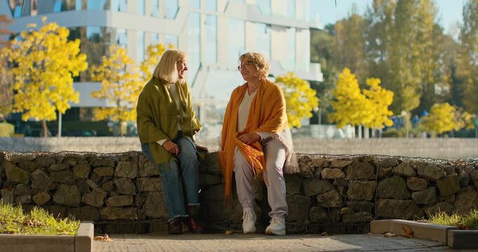 Senior women friends chatting on a stone wall in an autumn park