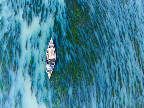 Aerial view of a small boat gliding through the waters, surrounded by a mesmerizing pattern of aquatic plants, Rajshahi, Rajshahi Division, Bangladesh.