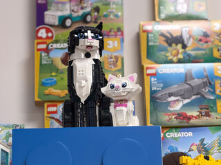 Fototapeta premium Lego cat duo on blue display