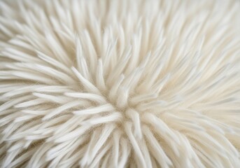 Fototapeta premium Extreme close-up of luxurious, soft texture emphasizing the comforting, fuzzy fluffiness of the material, ideal for backgrounds, background, structure, cozy