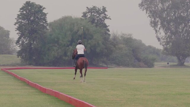 Wide shot of a polo player riding a horse and playing polo in an open field. Equestrian sport scene showing speed, skill, and traditional horseback game.