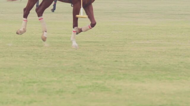 Close-up action shot of a polo player striking the ball with a mallet while riding a horse during a polo match. Dynamic equestrian sport moment captured in motion.