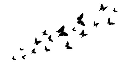 Obraz premium Black butterflies flying in a scattered pattern butterfly